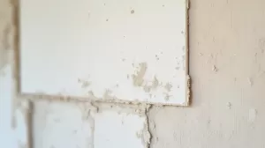 klejenie płyt g k na stare tynki