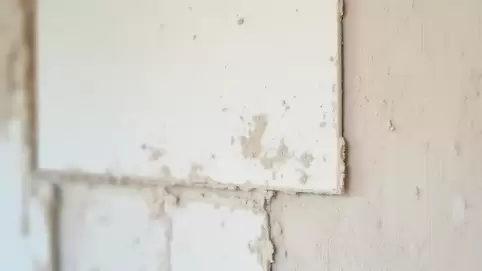 klejenie płyt g k na stare tynki