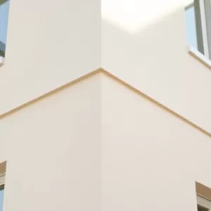 Po jakim czasie można malować tynk silikonowy